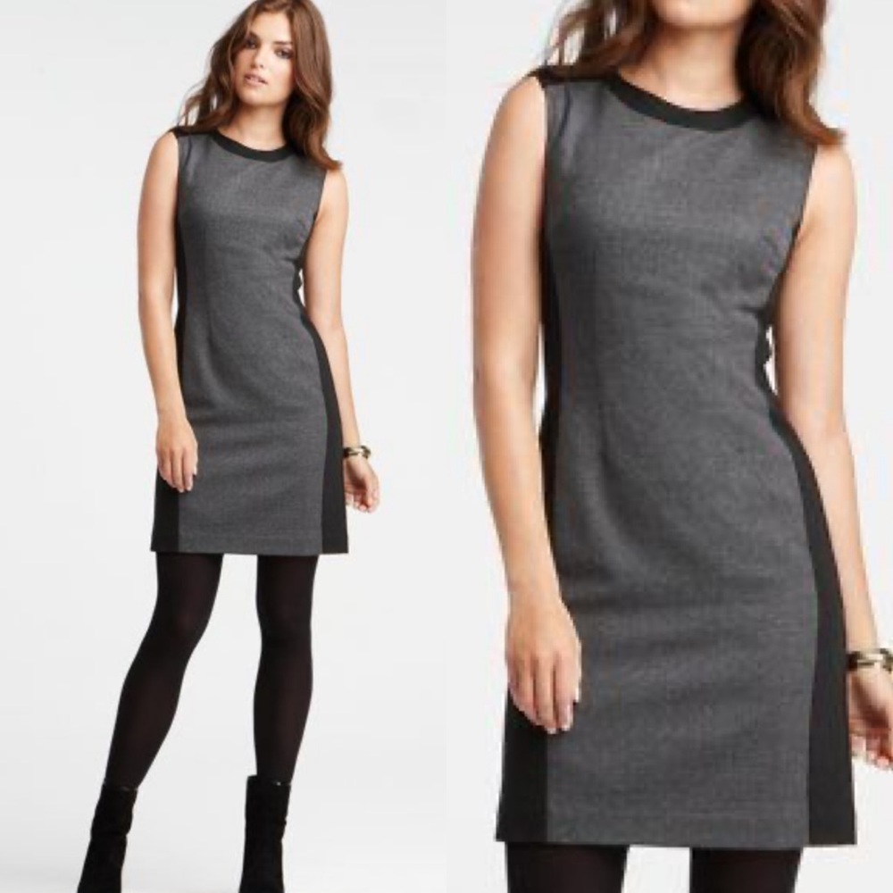 Ann Taylor Gray/Black Color Block Sleeveless Dress